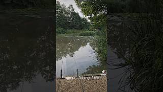 frogmore fishing lakes teamsb swimbooker lesshasslemorefishing parkerbaits [upl. by Airdnola]