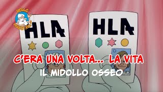 Siamo fatti così la vita 🌱 Il midollo osseo [upl. by Moorefield]