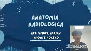 Radiografias Imagenologia convencional [upl. by Anawait315]