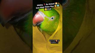 Chintu Utho 🥱😴Aaj School Jana Hai  shorts trandingshorts talkingparrot youtubeshorts [upl. by Cassius990]