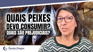 QUAL MELHOR PEIXE PARA CONSUMIR Quais São Prejudiciais [upl. by Melli493]