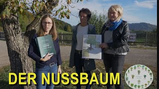 DER NUSSBAUM  NUSSI ON TOUR  STRUDENGAUER LEBENSPAUER  DIE BAUMPATINNEN [upl. by Irap]