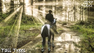 Peaceful Horse Ride Through Dense Fog in the Forest  RDR2  Max Graphics 4K [upl. by At]