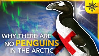 Why There Are NO Penguins in the Arctic  Island Biogeography 2 [upl. by Nwahsed]