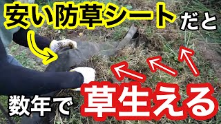 【雑草対策】3年経った防草シートを剥がして新しく設置する《案件動画NITTOSEKKO張り方》 [upl. by Berton743]