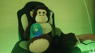 ASMR Hair Dryer Sound With Monkey Sniper🥱💛On Yellow💛 [upl. by Georgie793]