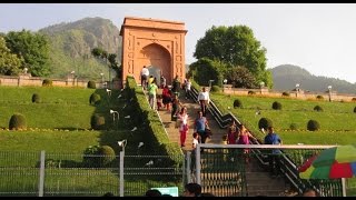 Chashme Shahi  Beautiful Mughal Garden at Srinagar India  Kashmir Tourism HD Video [upl. by Osugi]