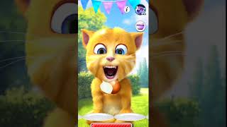 Taking Ginger Funny Videos  taking ginger cat funny video [upl. by Keenan853]