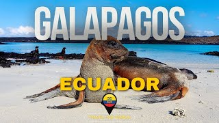 STUNNING experience in Galapagos [upl. by Lledraw]