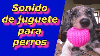 JUGUETE DEL PERRO Sonidos de juguete para perros Efectos de Sonido Squeaky Dog Toy Sound [upl. by Oirevlis]