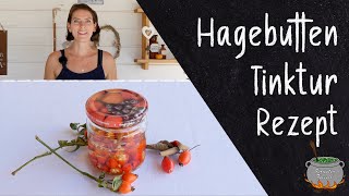 Hagebutten Tinktur Rezept  Stärkt das Immunsystem [upl. by Nayllij]