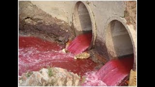 Decolourization and Degradation of Dyes in Industrial Effluents by Native Endophytic Fungi [upl. by Leuqim892]