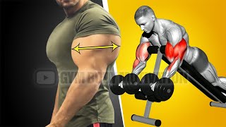 Biceps and Triceps Workout at Gym for Beginners [upl. by Aillicec549]