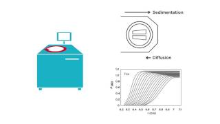 Introduction to Analytical Ultracentrifugation AUC 101 [upl. by Kilroy]