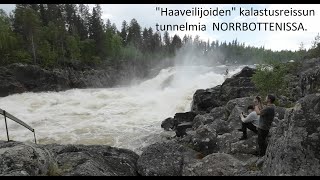 quotHaaveilijoidenquot kalastusreissun tunnelmia NORRBOTTENISSA [upl. by Haridan]