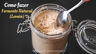 Como fazer fermento natural ou levain sourdough starter  Padeiro de Apartamento [upl. by Yvette274]