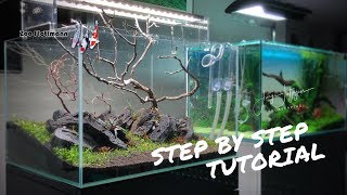 Step By Step Aquascaping Tutorial  at Zoo Flottmann German Aquascaping Shop [upl. by Biegel134]