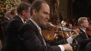 Vienna Philharmonic  New Years Concert 2019 Highlights [upl. by Stargell489]