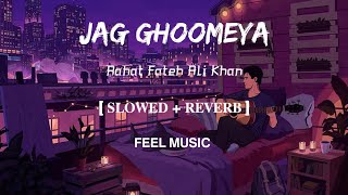 Jag Ghoomeya  Lofi Slowed and Reverb  Rahat Fateh Ali Khan  FEEL MUSIC [upl. by Annuhsal]