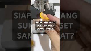 Siapa yang suka makan tomat Lihat dulu dengan microscope yuk [upl. by Sprung]