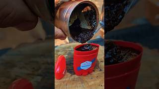 Waterproof Fire Starter From Vaseline and Wood Shavings survival camping lifehacks [upl. by Alimrahs]