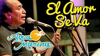 Agua Marina  El Amor Se Va En vivo [upl. by Ebenezer]