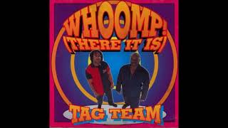 Tag Team  Whoomp There It Is Instrumental Oldschool Hip Hop 1993 [upl. by Ecyac757]