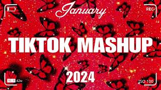 TikTok Mashup January 2024 💃💃Not Clean💃💃 [upl. by Karlotta]