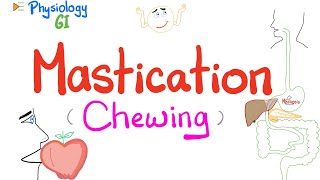 Mastication chewing   Mastication Reflex  Gastrointestinal Physiology [upl. by Gunilla718]