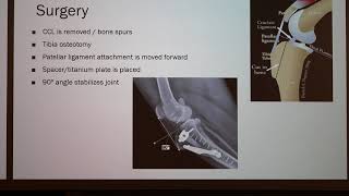 Tibial Tuberosity Advancement TTA Surgery in Dogs [upl. by Revned]