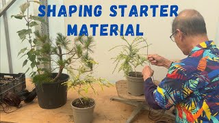 Shaping Starter Material into Bonsai [upl. by Okomom]