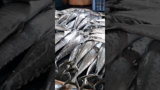 வானகரம் மீன் சந்தைVanagaram Fish Market fishmarket fish [upl. by Fachan]