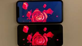 iPhone 12 OLED Super Retina XDR vs iPhone 11 LCD Screen Comparison Test [upl. by Dnalyram]