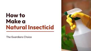 Step by Step Guide to Make a Organic insecticide at Home  The Guardians Choice [upl. by Nakeber]