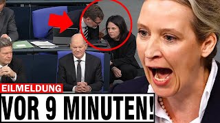 WEIDEL GREIFT BAERBOCK AN 🚨 BUNDESTAG IST IM CHAOS 🚨 DIE REDE DER AFD IST SCHOCKIEREND [upl. by Abraham]