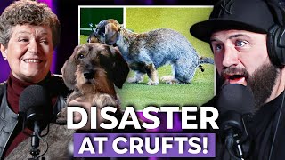 Joe Marler SHOCKED By What Her Dog Did At Crufts  Joe Marlers Things People Do [upl. by Nylirak]