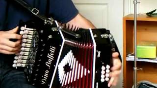 D G Dino Baffetti melodeon at Hobgoblin Canterbury [upl. by Pontone939]