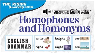 Homophones and homonyms [upl. by Aisatan33]