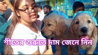 Galiff Street dog market in kolkata।Galiff Street pet market in kolkata।recent puppy price update [upl. by Romalda]