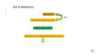 MOA of Mebendazole [upl. by Malinowski]