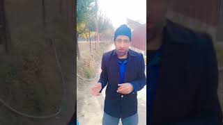 Amir dance at pocha zara pocho youtube viralyoutubeshorts [upl. by Ayoral596]