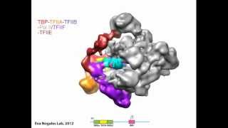 cryoelectron microscopy [upl. by Graces177]