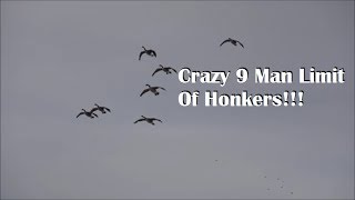 Minnesota Goose HuntingHonker smash fest 30 Birds [upl. by Ardnaskela142]