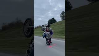 Sportster 1200 wheelie harleydavidson closedcourse [upl. by Fawcette]