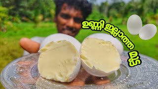 🔥ഉണ്ണി ഇല്ലാത്ത മുട്ട കഴിച്ചിട്ടുണ്ടോ🔥 Yolkless egg  DIY  B TECHY [upl. by Lesoj]