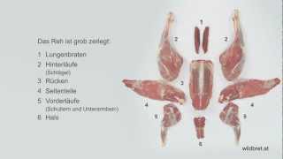 Zerwirken Rehwild Hals Rücken und Lungenbraten [upl. by Ehling834]