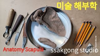 Artistic Anatomy ScapulaExplain the shape by making it with soil 미술독학how to learn art 어깨뼈 [upl. by Eniamsaj866]