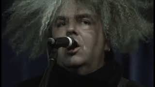 Melvins live  Amoeba 2008 [upl. by Engapmahc208]