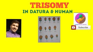 Trisomy in Datura and Human [upl. by Norvin]