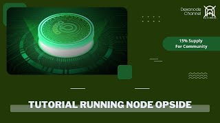 Tutrial Running Node Validator Opside [upl. by Clapper375]